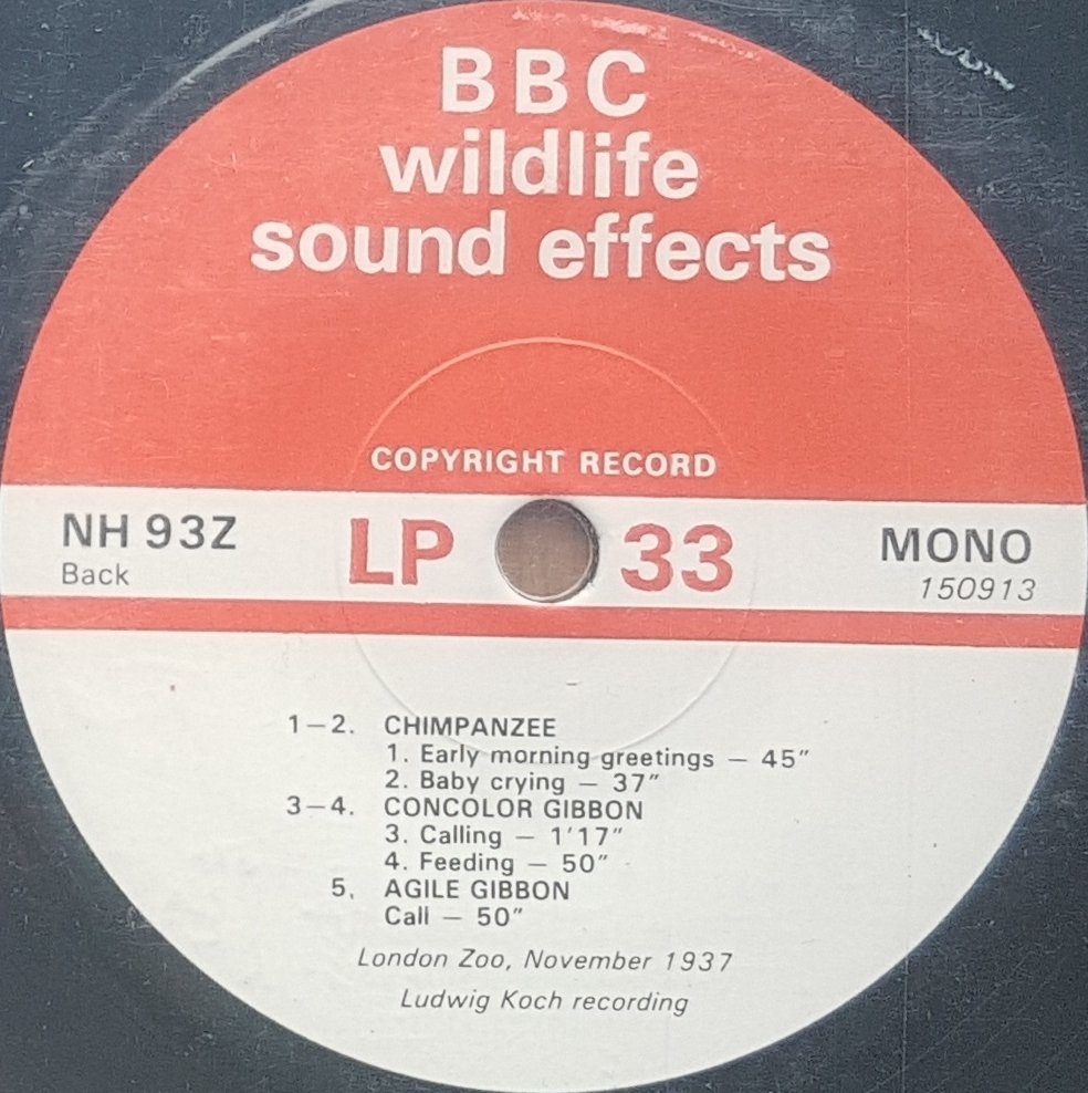 NH 93Z American elephant / Chimpanzee / Concolor Gibbon / Agile Gibbon Not registered from the BBC records and Tapes library Label